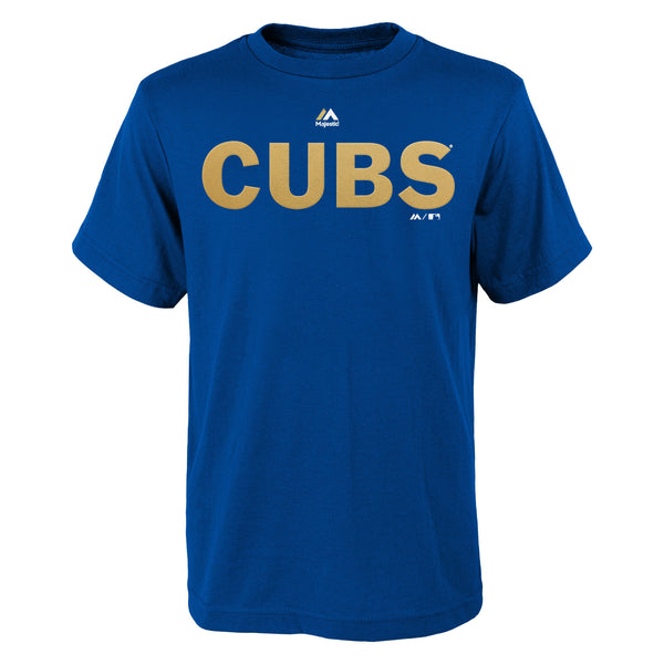  Chicago Cubs Adult Evolution Color T-Shirt (Small, Royal Blue)  : Sports & Outdoors