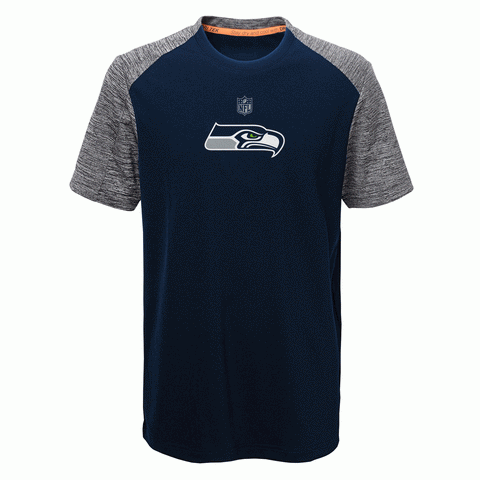 Seattle Seahawks Youth NFL 2-Tone Gray/Blue Performance Shirt