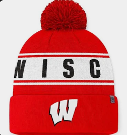 Wisconsin Badgers Top of the World One Size Fits Most Winter Hat