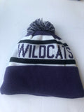 Northwestern University Wildcats New Era Purple Band Redux Winter Hat