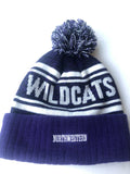 Northwestern University Wildcats Top of the World Winter Hat