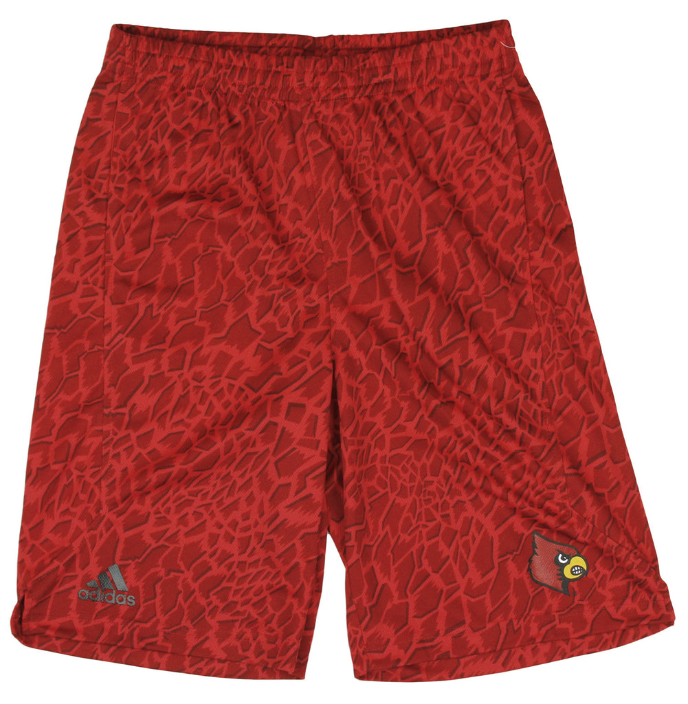 adidas Men's Louisville Cardinals Cardinal Red Wordmark Pullover Fleece  Hoodie